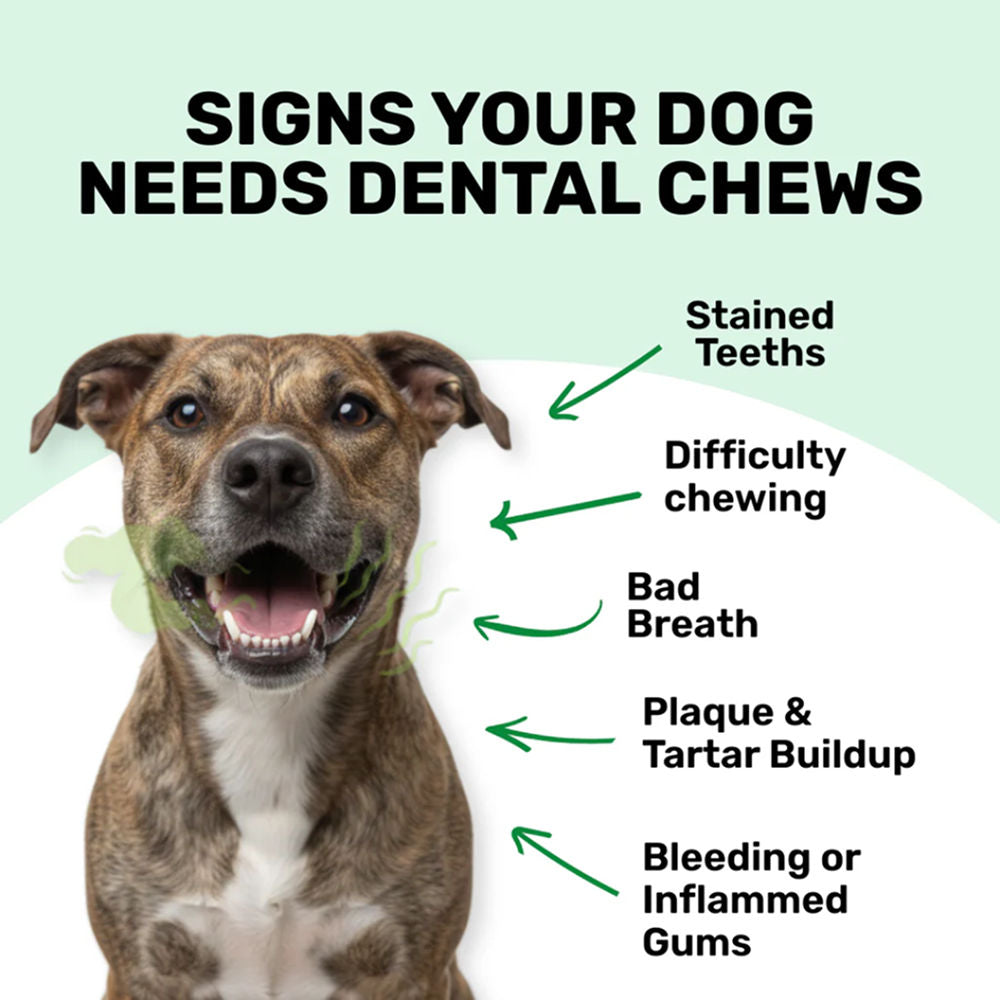 Absolut Pet Oral Care Plaque Tartar Remover Dog Supplement - Image 4