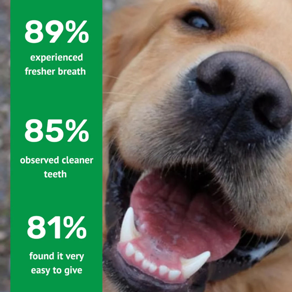 Absolut Pet Oral Care Plaque Tartar Remover Dog Supplement - Image 5