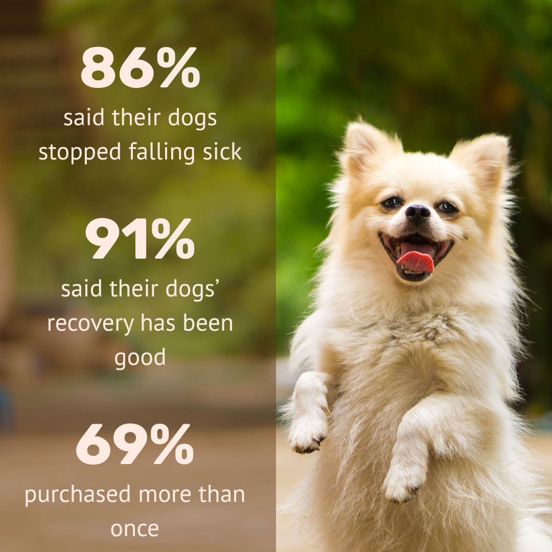Absolut Pet Postbiotics To Boost Immunity Chews Dogs Treat - Image 4