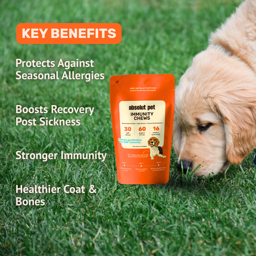 Absolut Pet Postbiotics To Boost Immunity Chews Dogs Treat - Image 5