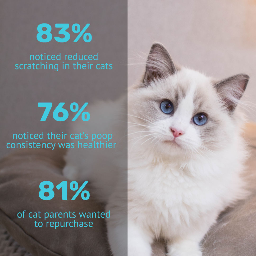 Absolut Pet Probiotics Gut Health Cat Supplement - Image 4