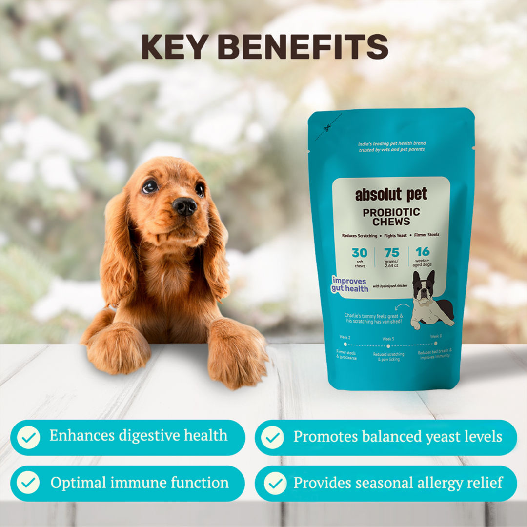 Absolut Pet Probiotics Gut Health Dog Supplement - Image 2