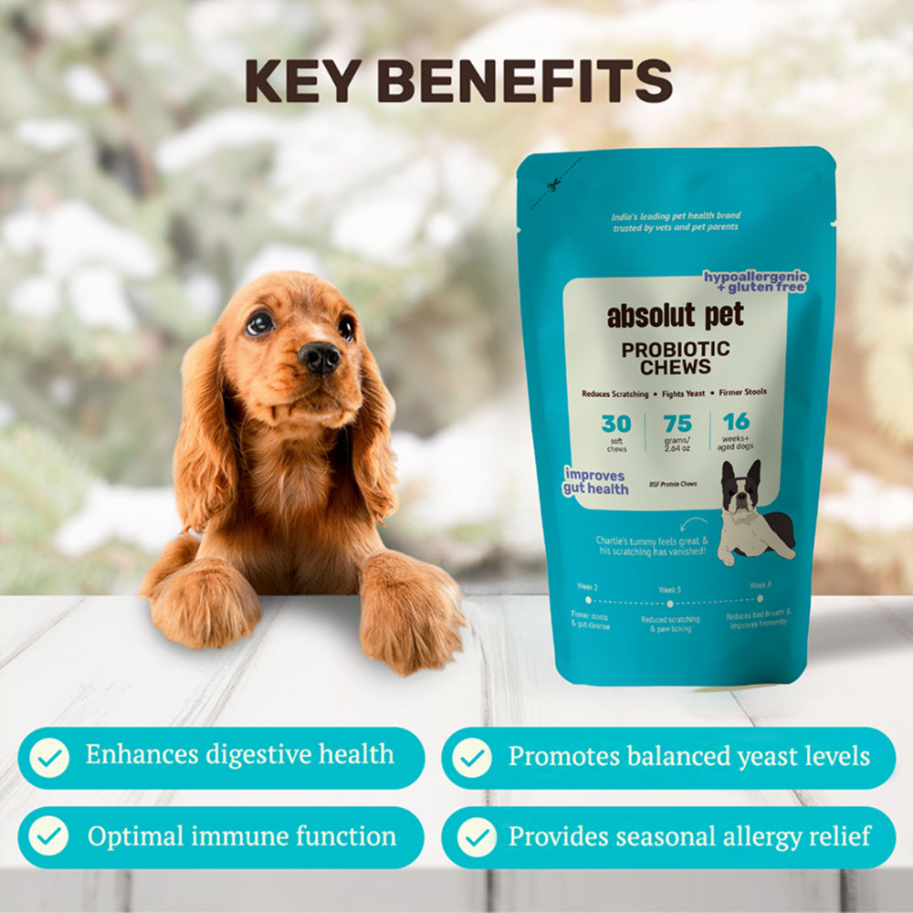 Absolut Pet Probiotics Hypoallergenic Gut Health Dog Supplement - Image 2