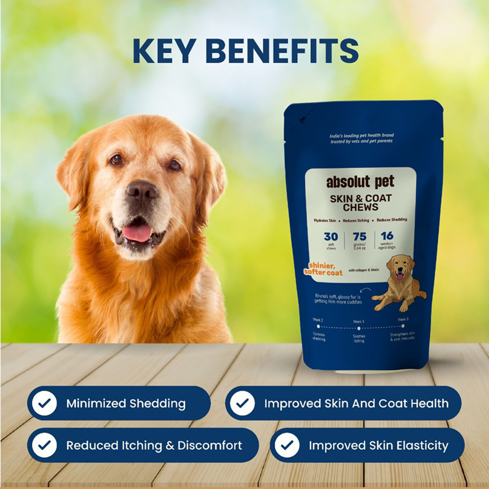 Absolut Pet Skin Coat With Collagen And Biotin Dog Supplement - Image 2