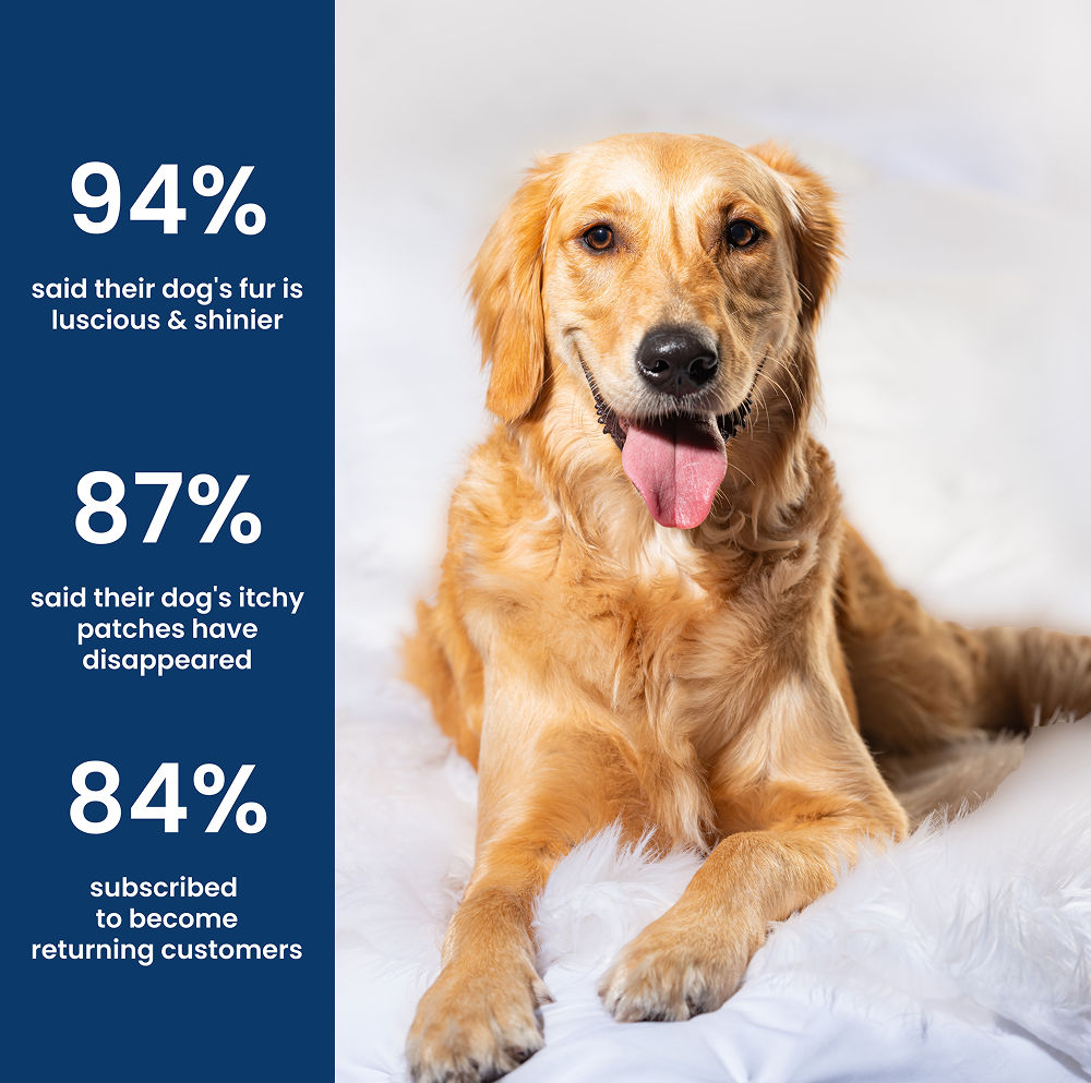 Absolut Pet Skin Coat With Collagen And Biotin Dog Supplement - Image 3