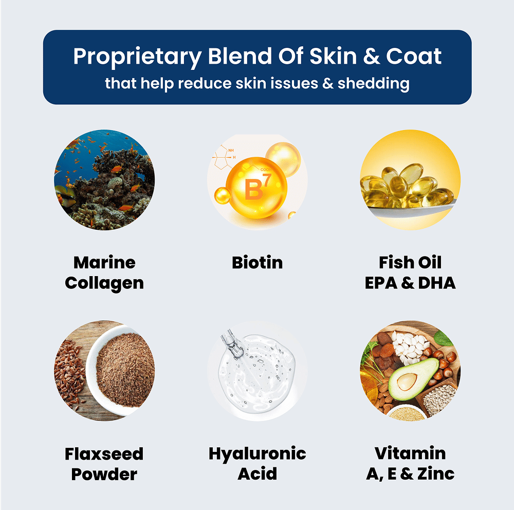 Absolut Pet Skin Coat With Collagen And Biotin Dog Supplement - Image 4