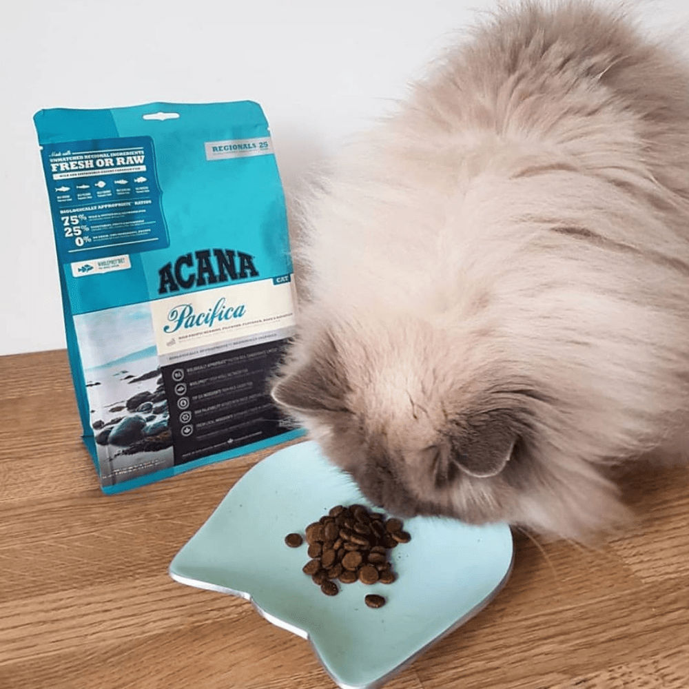Acana Pacifica Dry Cat Food - Image 4