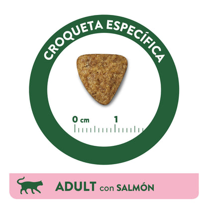 Affinity Libra Adult Cat Salmon Dry Food - Image 5