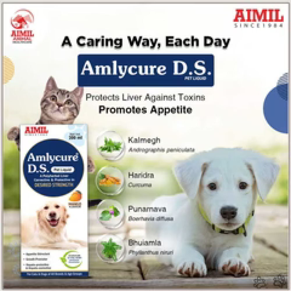 Aimil Amlycure D S Liquid Supplement For Dogs And Cats - Image 3