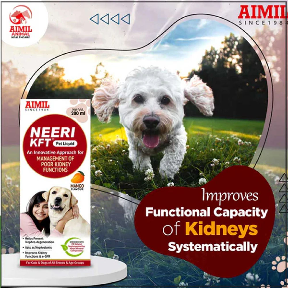 Aimil Neeri KFT Liquid Supplement for Dogs and Cats — side view