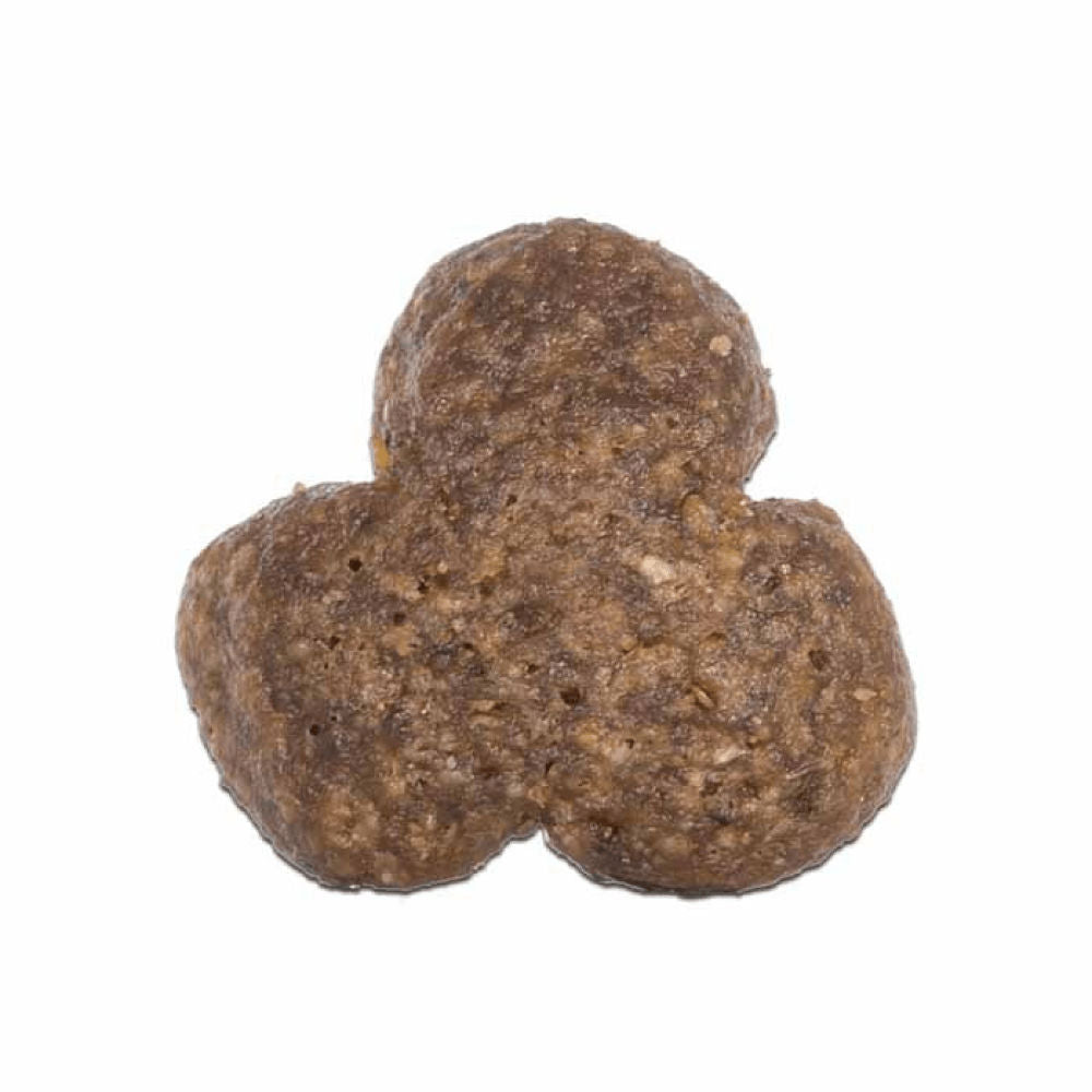 Arden Grange Chicken & Rice Adult Dog Dry Food — in use
