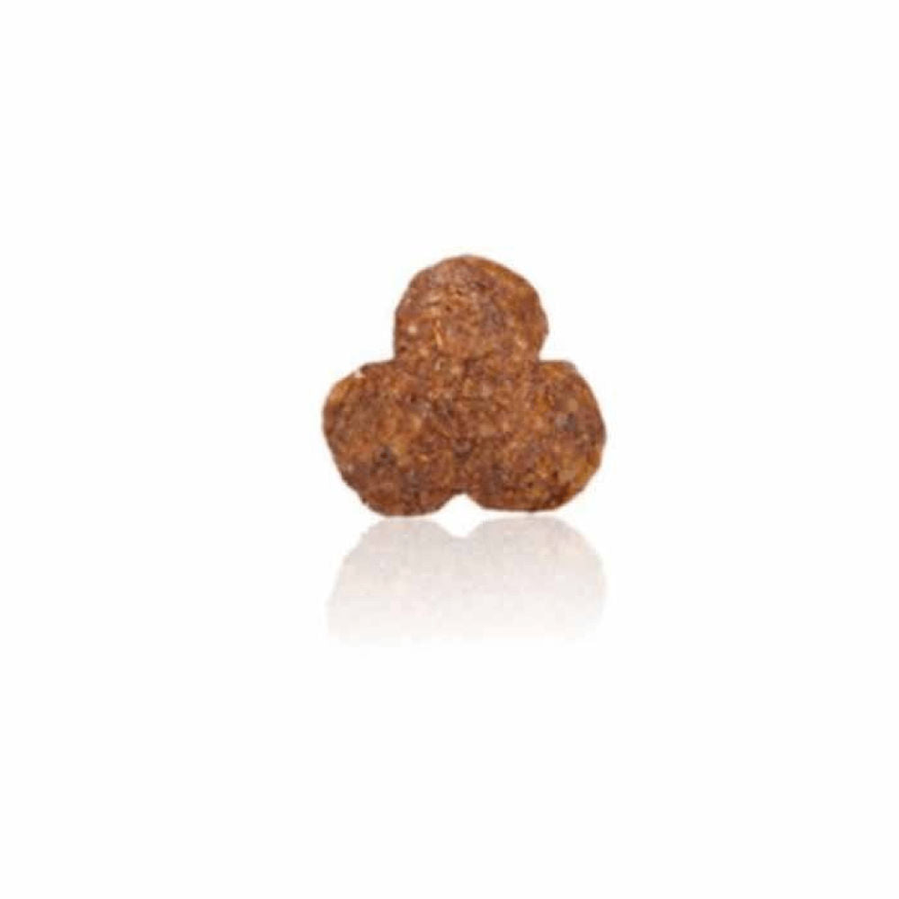 Arden Grange Sensitive Adult Dry Dog Food | Ocean White Fish & Potato — back view