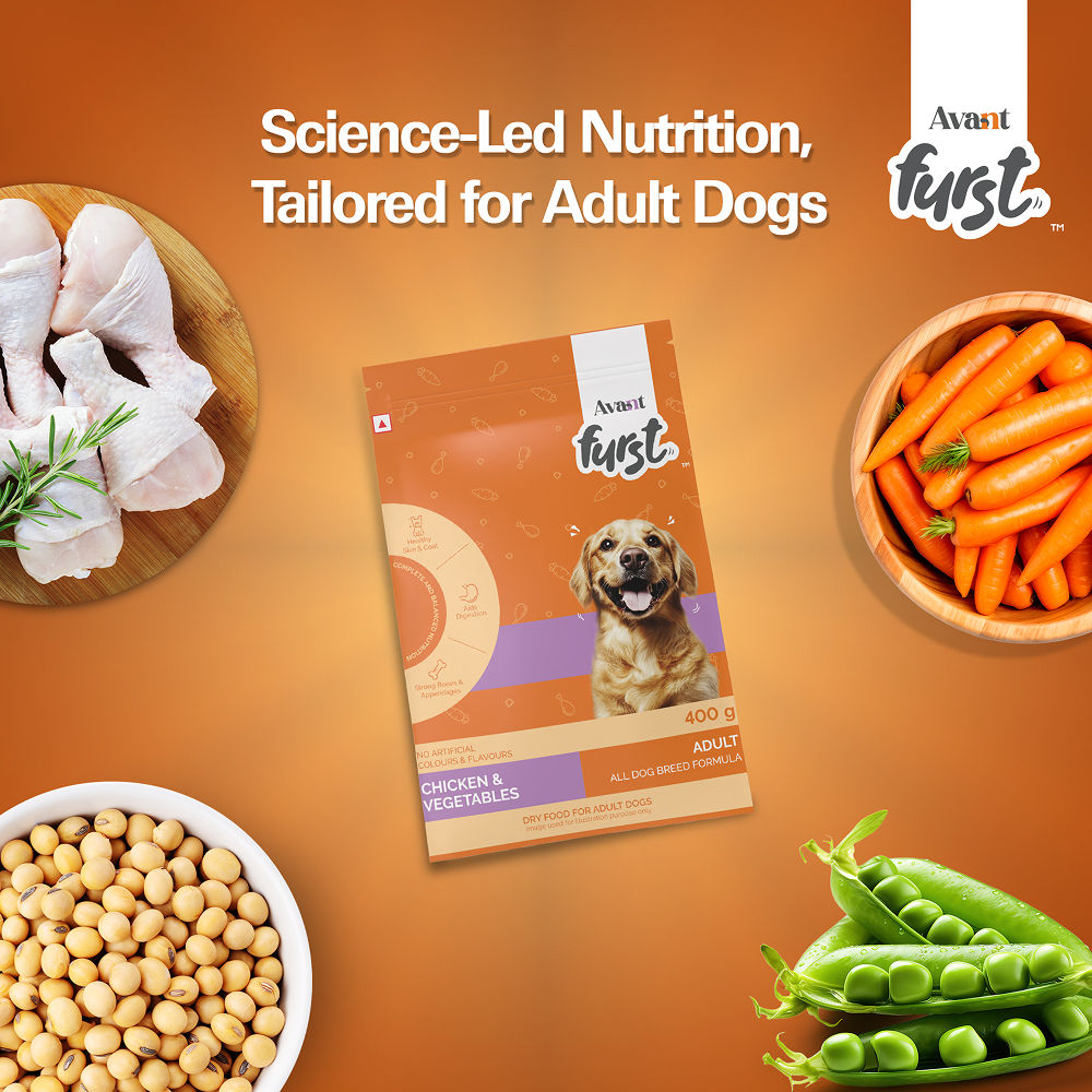 Avant Furst Chicken and Vegetable Adult Dog Dry Food — in use