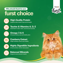 Avant Ocean Fish Avant Furst Adult Cat Dry Food - Image 2