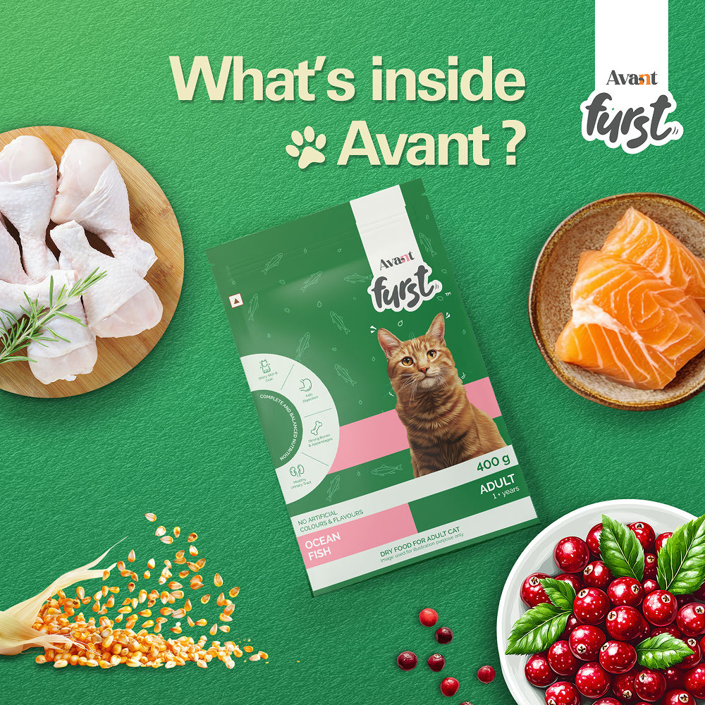 Avant Furst Ocean Fish Flavour Adult Cat Dry Food — in use