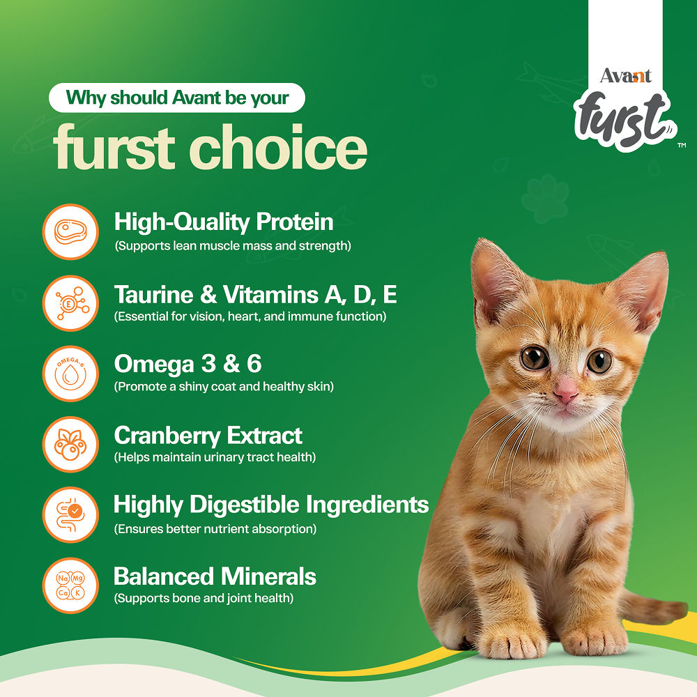 Avant Furst Ocean Fish Flavour Kitten Cat Dry Food — detail shot