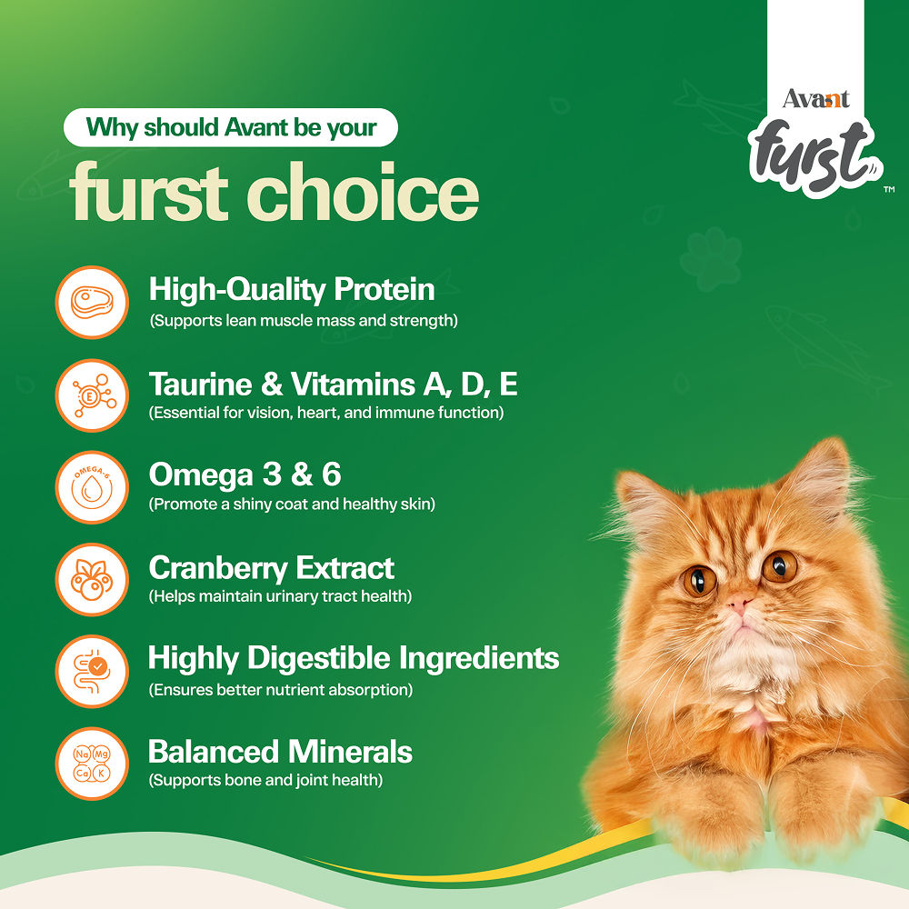 Avant Furst Tuna Fish Flavour Adult Cat Dry Food — detail shot