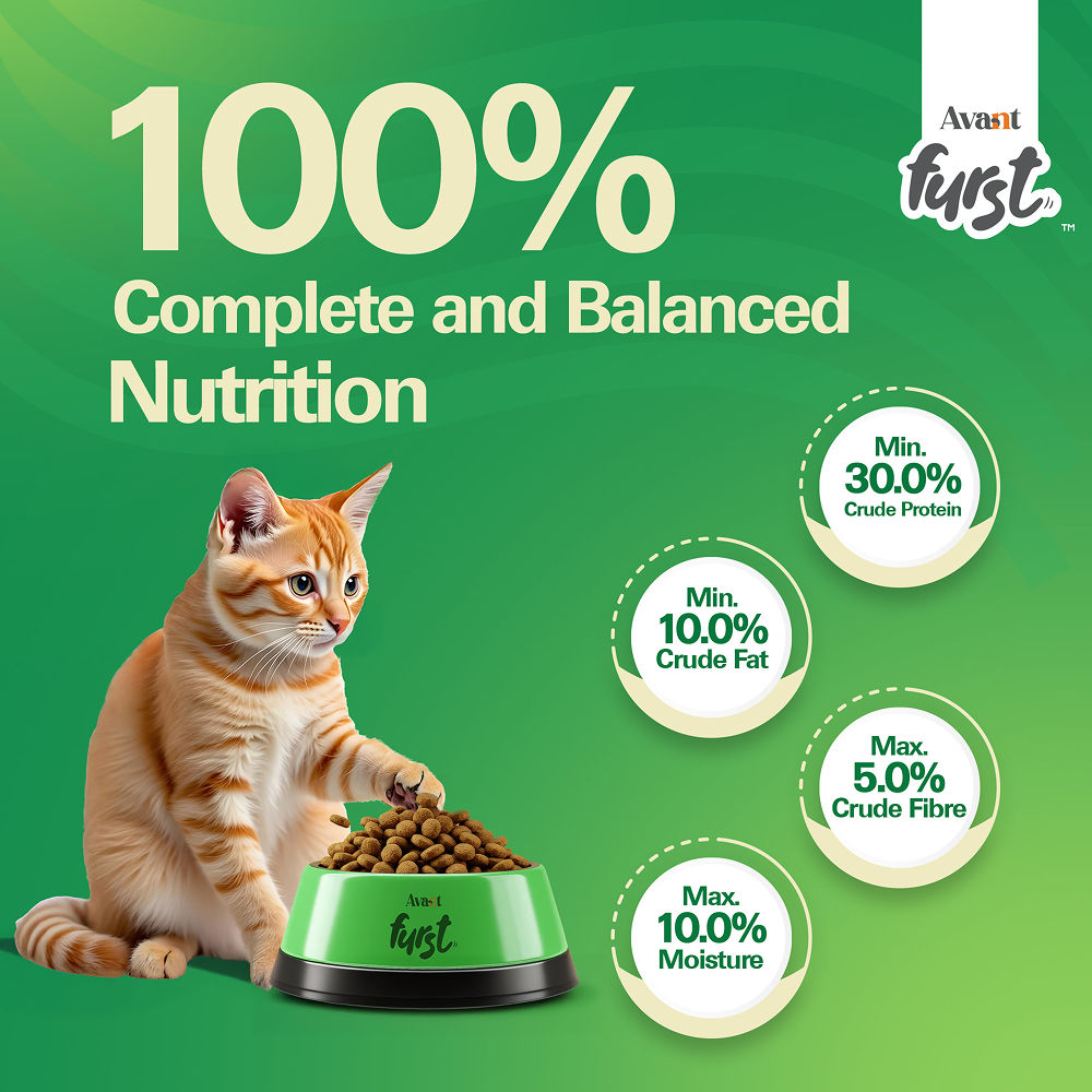 Avant Furst Tuna Fish Flavour Adult Cat Dry Food — in use