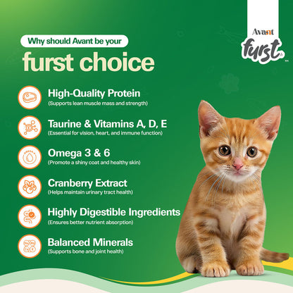 Avant Furst Tuna Fish Flavour Kitten Cat Dry Food — in use