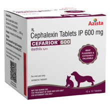 Azista Cefarior 600Mg Tablets For Dogs