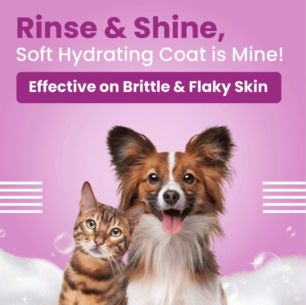 Bark Out Loud Allergy and Itch Relief Shampoo for Dogs and Cats — back view