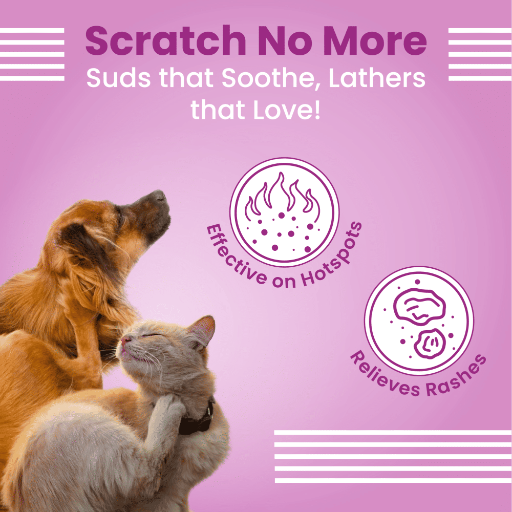 Bark Out Loud Allergy and Itch Relief Shampoo for Dogs and Cats — in use