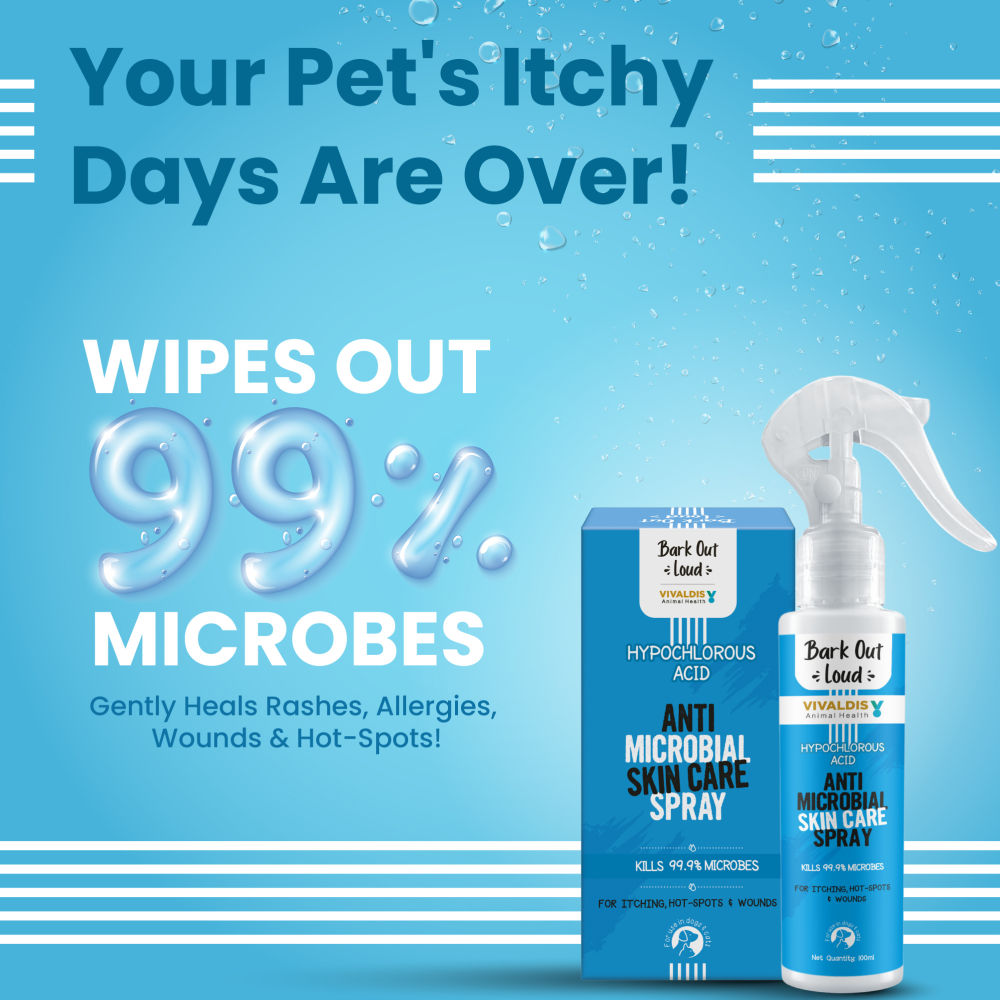 Bark Out Loud Anti Microbial Skin Spray for Dogs and Cats — back view