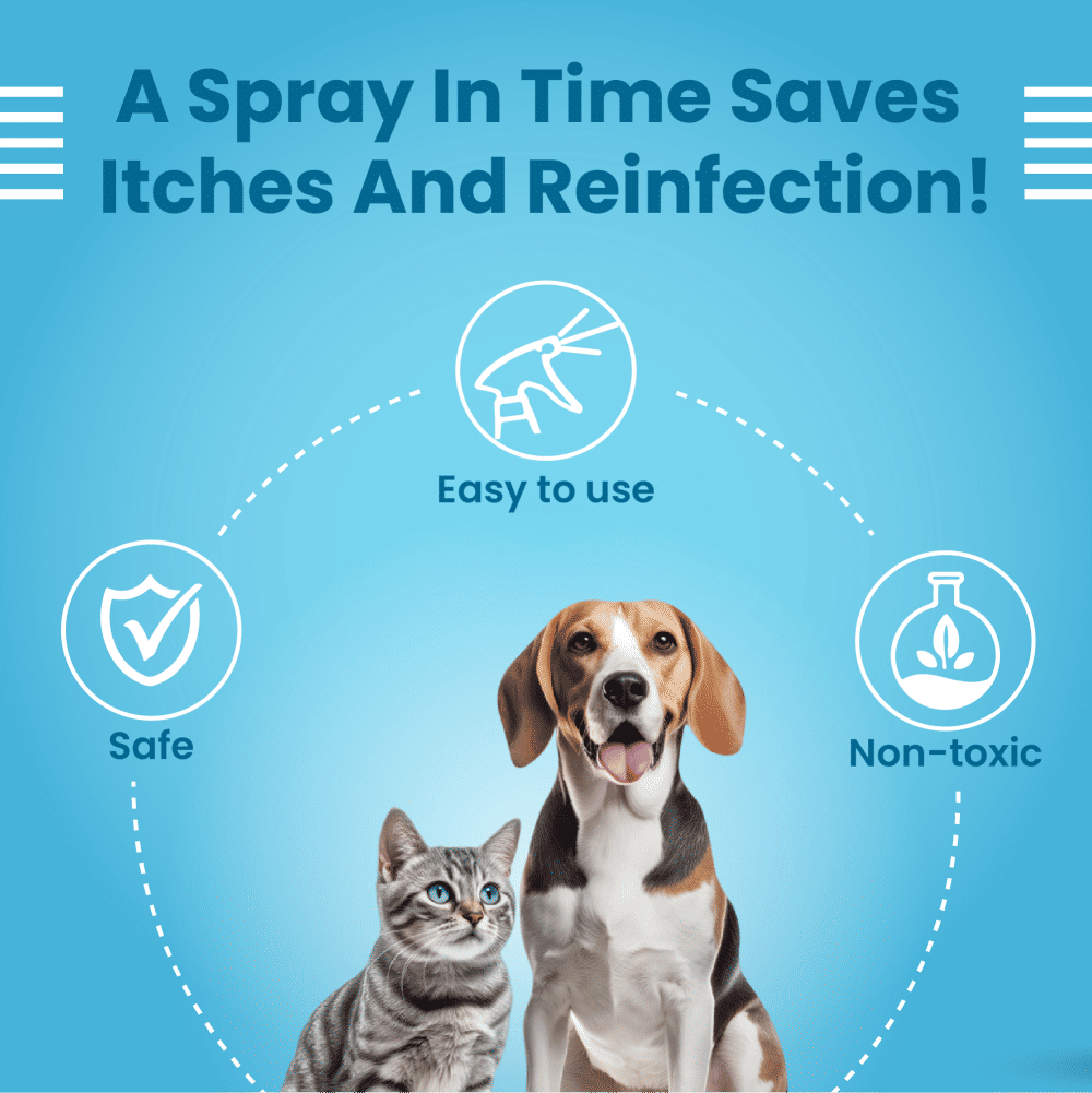Bark Out Loud Anti Microbial Skin Spray for Dogs and Cats — in use