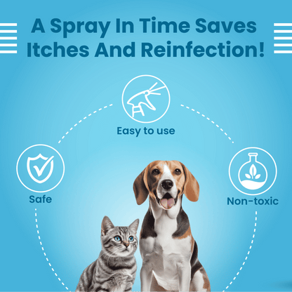 Bark Out Loud Anti Microbial Skin Spray for Dogs and Cats — in use