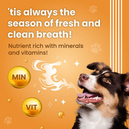 Bark Out Loud by Vivaldis Dental Sticks Dog Treats — back view