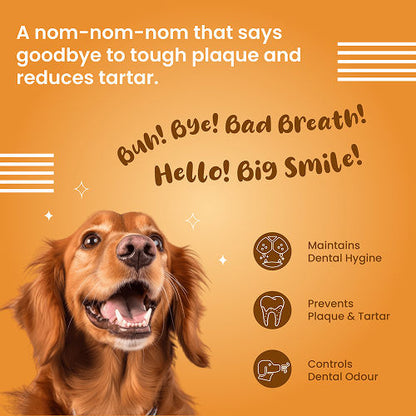 Bark Out Loud by Vivaldis Dental Sticks Dog Treats — in use