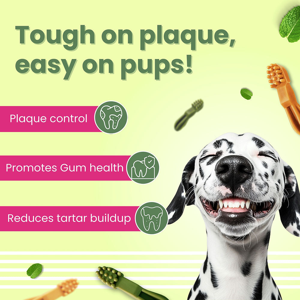 Bark Out Loud by Vivaldis Grain Free Chicken Dental Chews Dog Treats — back view
