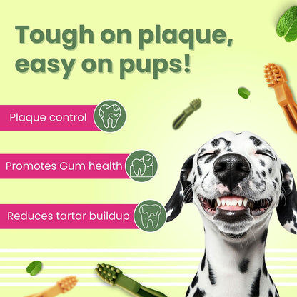 Bark Out Loud by Vivaldis Grain Free Chicken Dental Chews Dog Treats — back view