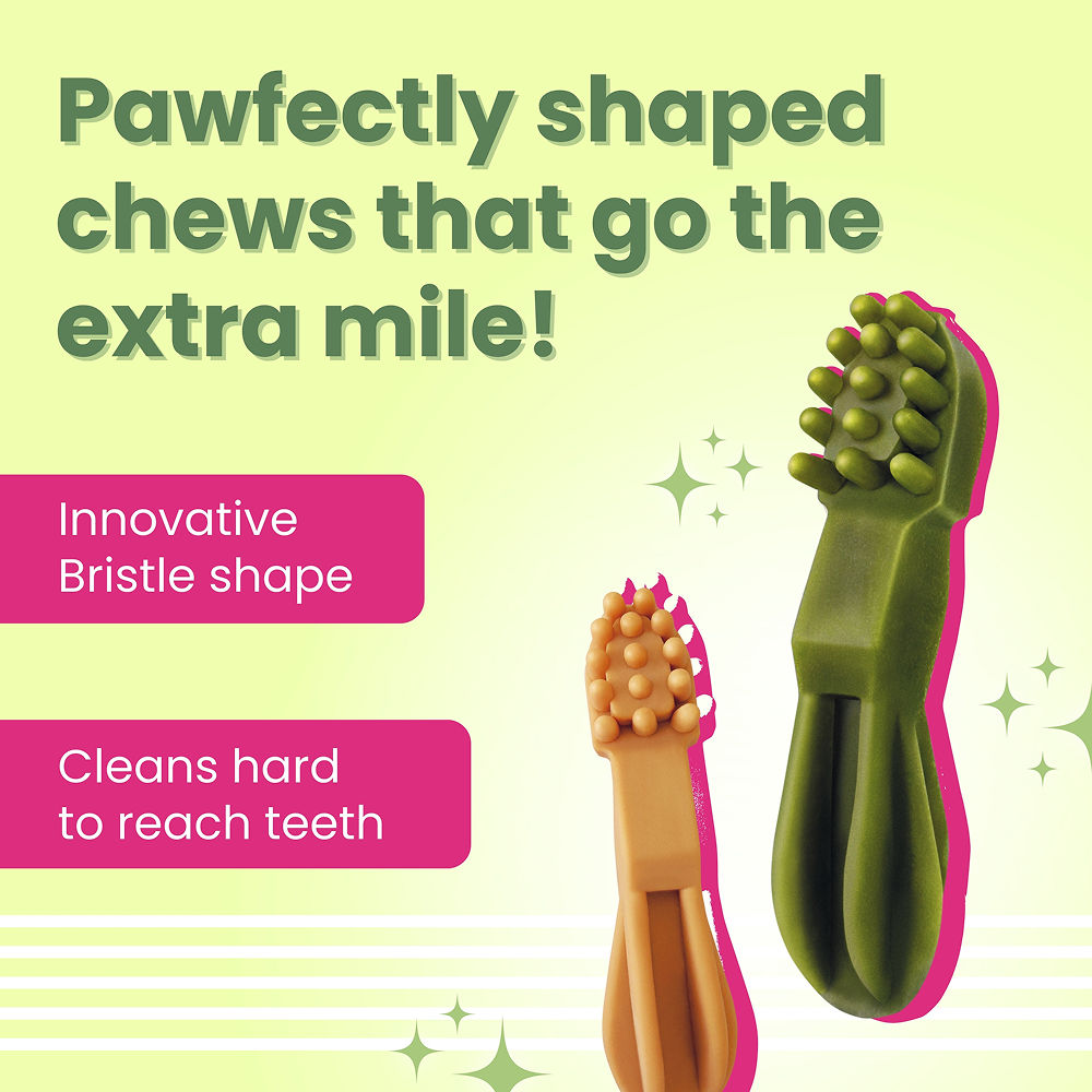 Bark Out Loud by Vivaldis Grain Free Chicken Dental Chews Dog Treats — detail shot