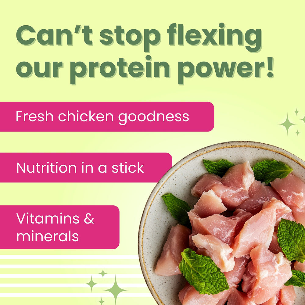 Bark Out Loud by Vivaldis Grain Free Chicken Dental Chews Dog Treats — in use