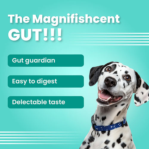 Bark Out Loud by Vivaldis Mini Fishes Grain Free & Hypoallergenic Dog Treats — back view