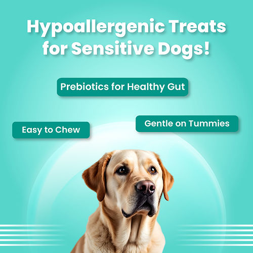 Bark Out Loud by Vivaldis Mini Fishes Grain Free & Hypoallergenic Dog Treats — detail shot
