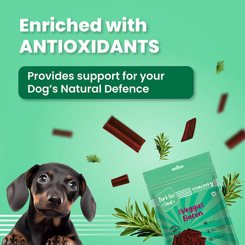 Bark Out Loud by Vivalidis Veggie Bacon Vegan Spanish Dog Treats — detail shot
