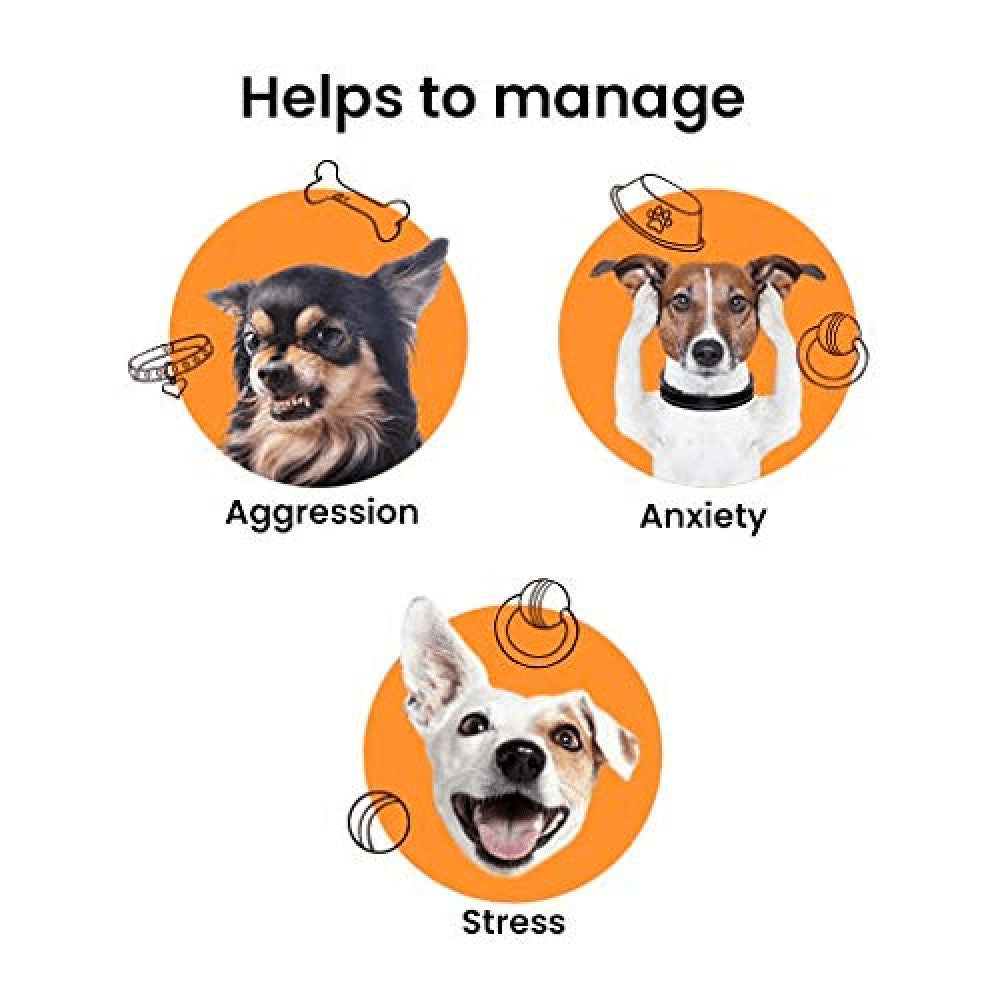 Bark Out Loud Calming & Anti Anxiety Supplements for Dogs and Cats — back view