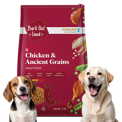Bark Out Loud Chicken Ancient Grains Adult Dog Dry Food