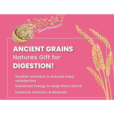 Bark Out Loud Chicken & Ancient Grains Adult Dog Dry Food — in use