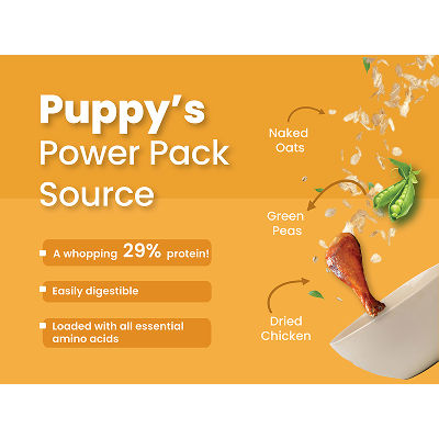 Bark Out Loud Chicken & Ancient Grains Puppy Dry Food — back view