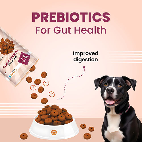 Bark Out Loud Chicken Rings Soft Chews Dog Treats — in use