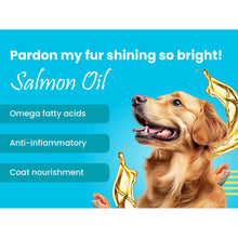 Bark Out Loud Chicken Tuna Chunks Gravy Adult Dog Wet Food - Image 2