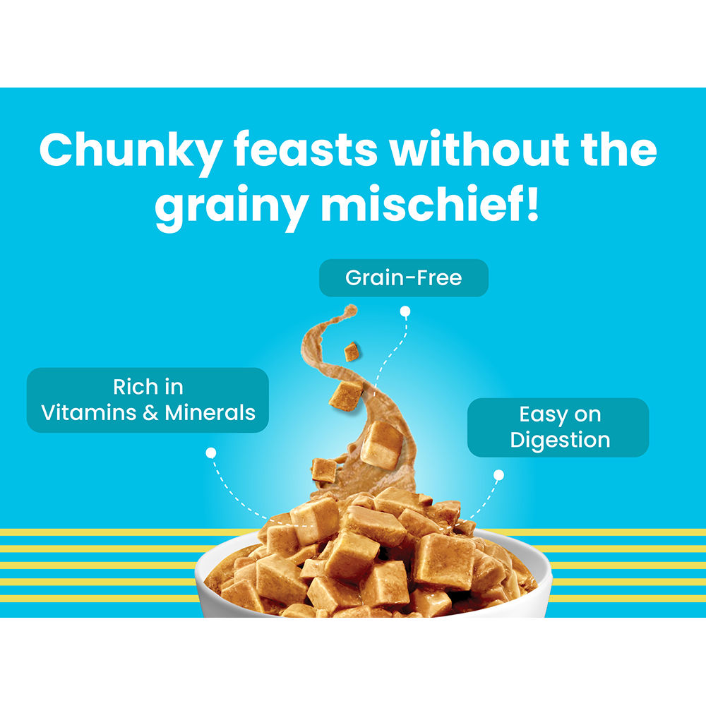 Bark Out Loud Chicken & Tuna Chunks Gravy Adult Dog Wet Food — detail shot