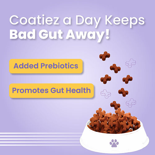 Bark Out Loud Coatiez Soft Chews Dog Treats — in use