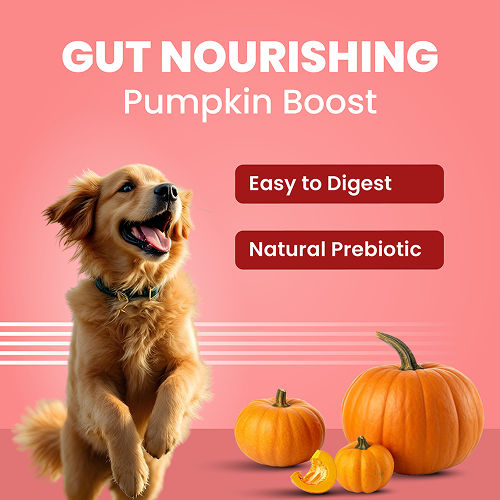 Bark Out Loud Collagen Protein Bar Chicken Fish Treat For Dogs - Image 4