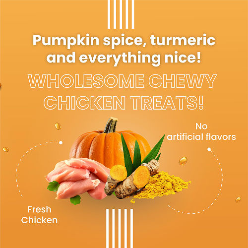 Bark Out Loud Glow and Shine Turmeric Chew Stix for Dogs and Cats — back view