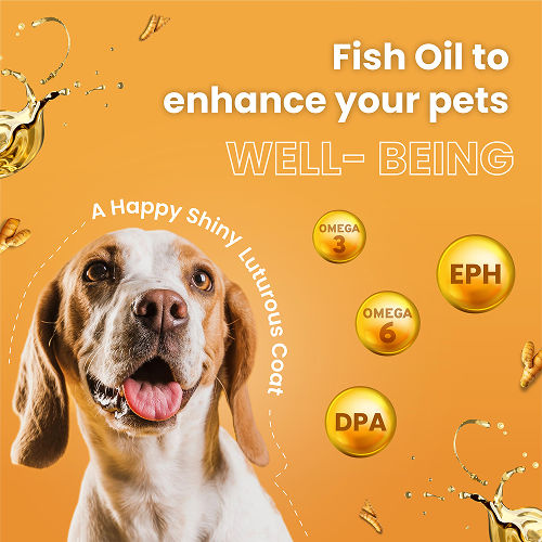 Bark Out Loud Glow and Shine Turmeric Chew Stix for Dogs and Cats — detail shot