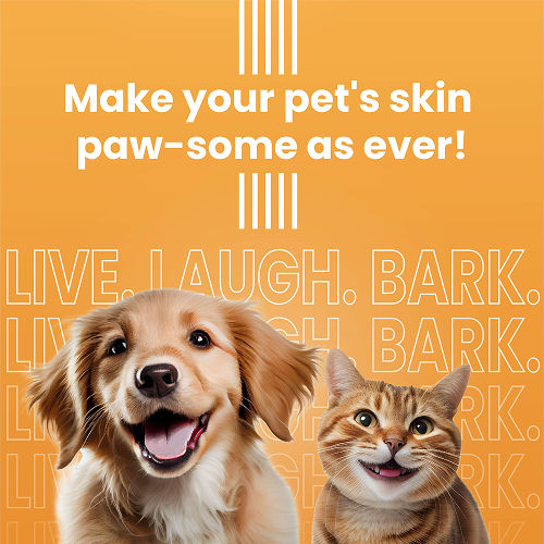 Bark Out Loud Glow and Shine Turmeric Chew Stix for Dogs and Cats — in use